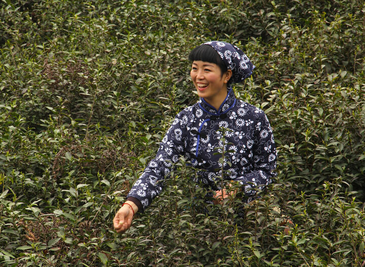雪茄烟雾